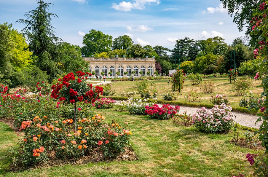 de l'Université Paris-Cité Botanical Garden, Paris, France, France